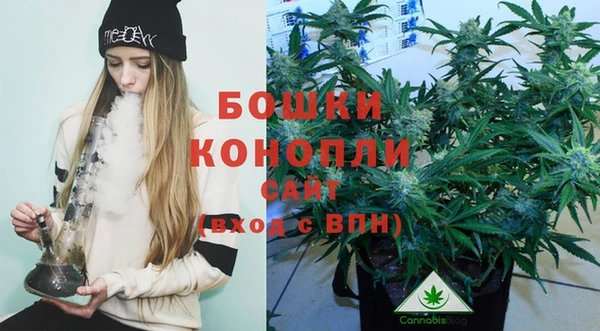 стаф Волосово