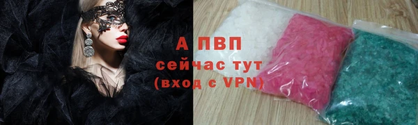 стаф Вязники