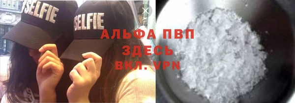 стаф Волосово