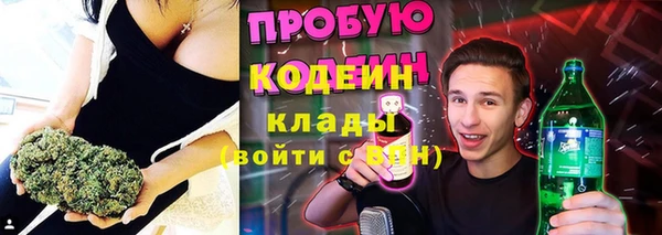 стаф Волосово
